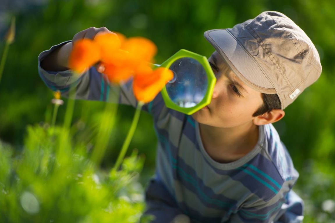 osservare la natura da bambini