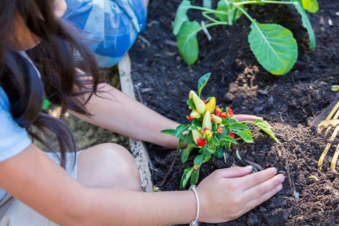 profumi orto a maggio asilo con giardino